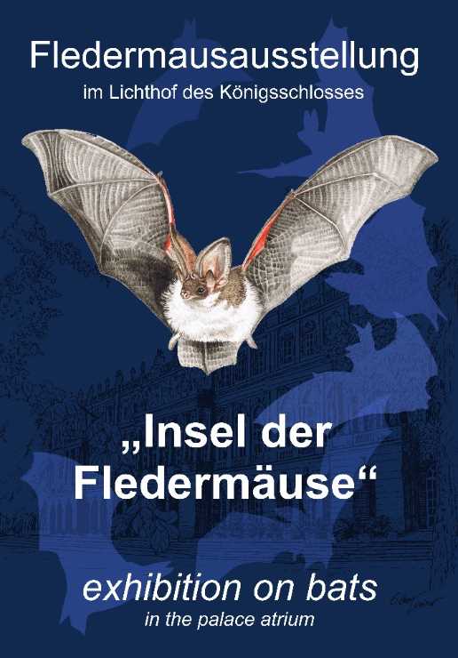 Fledermausausstellung 8