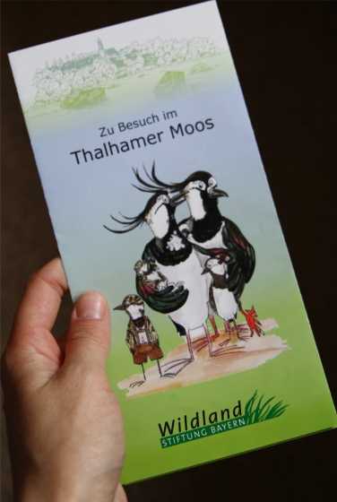 Flyer Thalhamer Moos_Foto