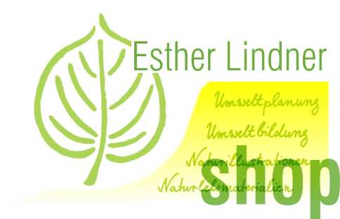 LOGO SHOP