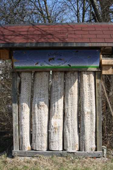 Tafel Insektennisthilfe_Foto