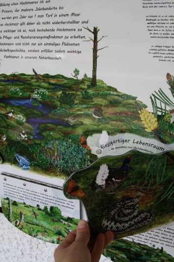 Tafel Moorbaum 3