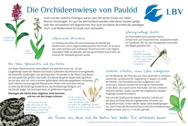 Tafel Orchideenwiese 2018