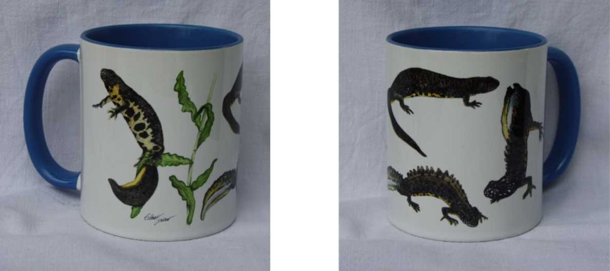 Tasse Kammmolch